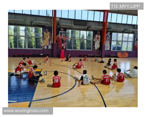 在篮球场上追逐梦想的少年们：热血青春与友情的交织