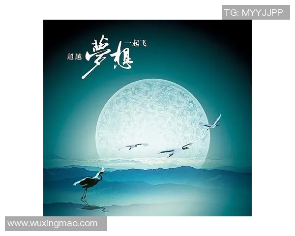 在山顶足球场感受激情与梦想的交汇之地