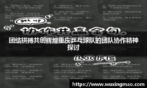 团结拼搏共创辉煌重庆乒乓球队的团队协作精神探讨